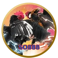 SO888
